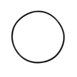 Joint Torique - Couvercle Filtre Pentair