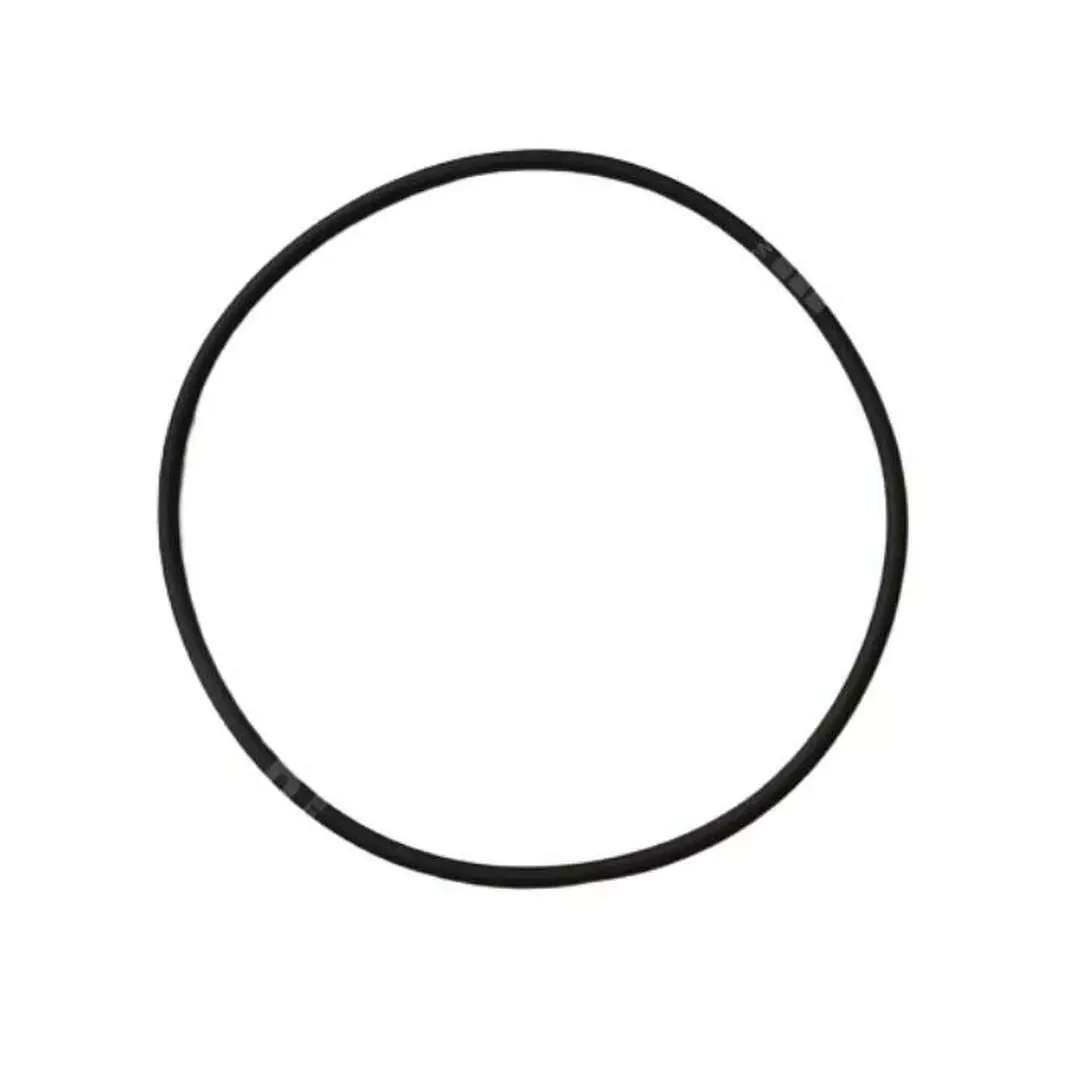 Astralpool Joint Torique De Couvercle Pompe SENA / ALASKA 3 Astralpool Joint Torique De Couvercle Pompe SENA / ALASKA